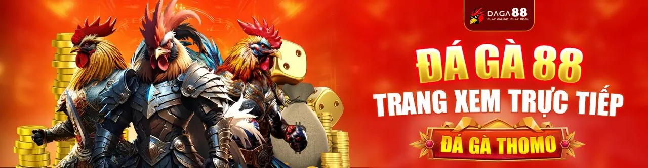 Đá Gà Trực Tuyến ibet188