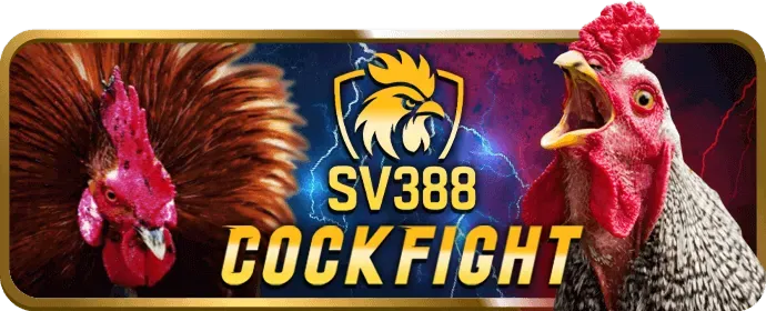 Giao diện cá cược Đá Gà ibet188